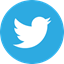 Twitter - Petit